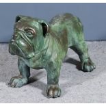 A 20th Century Verdigris Bronze Life Sized Figure of a Bulldog 16ins high x 29ins overall