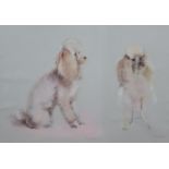 ***John Skeaping (1901-1980) - Pastel - Studies of two seated standard poodles, signed and dated '77