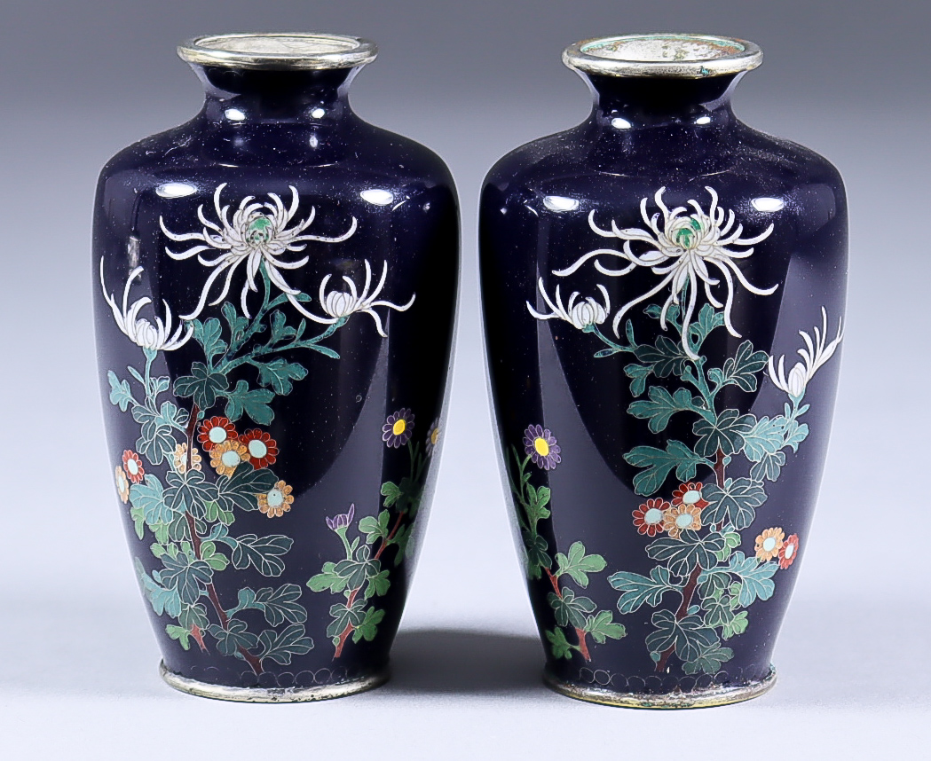 A Pair of Japanese Cloisonne Enamel Vases, Meiji Period, each decorated with spider chrysanthemums