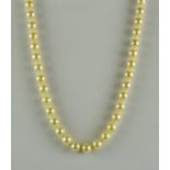 A String of Cultured Pearls, Modern, each pearl approximately 7mm diameter, 9ct gold clasp, 480mm