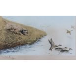 Leon Danchin (1887-1938) - Limited Edition coloured etching - "English Setter Flighting Mallard",