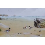 ***David Morrison Reid-Henry (1919-1977) - Watercolour - Geese and Oyster catchers on beach, signed,