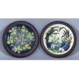 A Moorcroft Pottery Plate With Lamia Design, decorated with bulrushes and water lilies, 10.26ins,