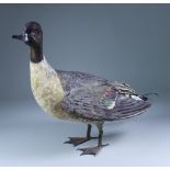 Sylvestrie (20th Century) - A French cold painted terracotta standing model of a mallard duck, 13ins