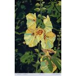 ***Nikolaus Störtenbecker (born 1940) - Coloured proof woodcut - "Stockrose" - Hollyhock - signed,