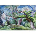 ***John Farleigh (1900-1965) - Pencil and watercolour - Woodland landscape, signed and dated '46,