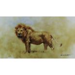 David Shephard (1931-2017) - Five coloured prints - African animal subjects, all signed in pencil,