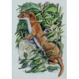 David Binns (born 1935) - Pair of watercolours - Grey squirrel and stoat, signed, 6.75ins x 4.75ins,