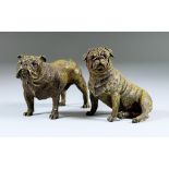 A Cold Painted Bronze Standing Figure of a Bulldog, 3ins high, and a similar seated model of a