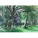 ***Jim Russell (1909-2001) - Watercolour - "St Omer" - Landscape with trees, 14.5ins x 20.5ins,