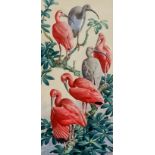 ARR Charles Frederick Tunnicliffe (1901-1979) - Watercolour - "Scarlet Ibises", signed, 28.5ins x