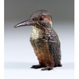 An Austrian Cold Painted Bronze Figure of a Kingfisher, Late 19th/Early 20th Century, probably