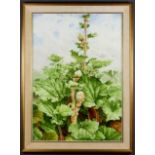 ***Barry Kirk (born 1933) - Watercolour - "Rhubarb" - A patch of rhubarb going to seed, signed in