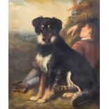 19th Century British School - Oil painting - Portrait of seated dog with sleeping boy, relined