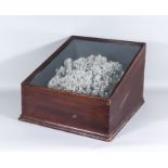 A Large Victorian Coral Specimen, contained in sloped stained wood case, with moulded edge and