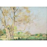 ***Ernest Stephen Lumsden (1883-1945) - Oil painting - Rural landscape with ancient tree, board 9ins