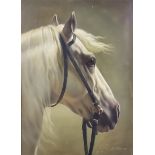 Joseph Kostka (1846-1927) - Oil painting - Portrait bust of a white stallion, signed and dated 1867,