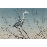 ***Michael Hampton (born 1937) - Watercolour - Grey heron, 17.75ins x 26.75ins, framed and glazed