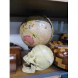 AN INTERNALLY ILLUMINATED TERRESTRIAL GLOBE, ON STAND  AND A PLASTIC MODEL OF A HUMAN SKULL, ON