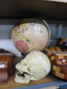 AN INTERNALLY ILLUMINATED TERRESTRIAL GLOBE, ON STAND  AND A PLASTIC MODEL OF A HUMAN SKULL, ON