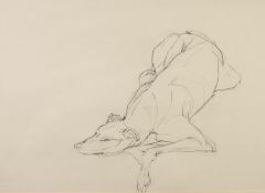 JO TAYLOR (b.1969) PENCIL DRAWING Recumbent greyhound Unsigned 17? x 24? (43.2cm x 61cm)C.R-good