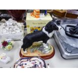 'BORDER FINE ARTS' LARGE RESIN MODEL OF A 'BORDER COLLIE, STANDING' No. A1865, on wooden plinth, 10"