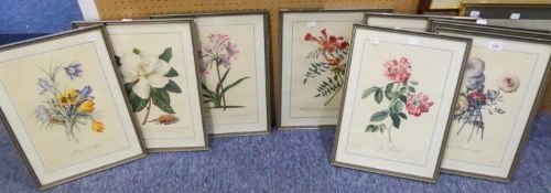 NINE MODERN COLOURED FACSIMILE BOTANICAL SPECIMEN PRINTS AFTER G.D. EHRET, EACH 13 3/4in x 9 1/