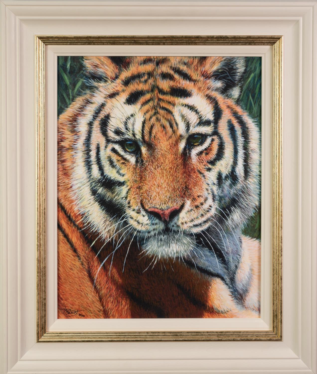TONY FORREST (b.1961) ARTIST SIGNED LIMITED EDITION COLOUR PRINT?Wild Thing?, (35/195), with - Image 2 of 2
