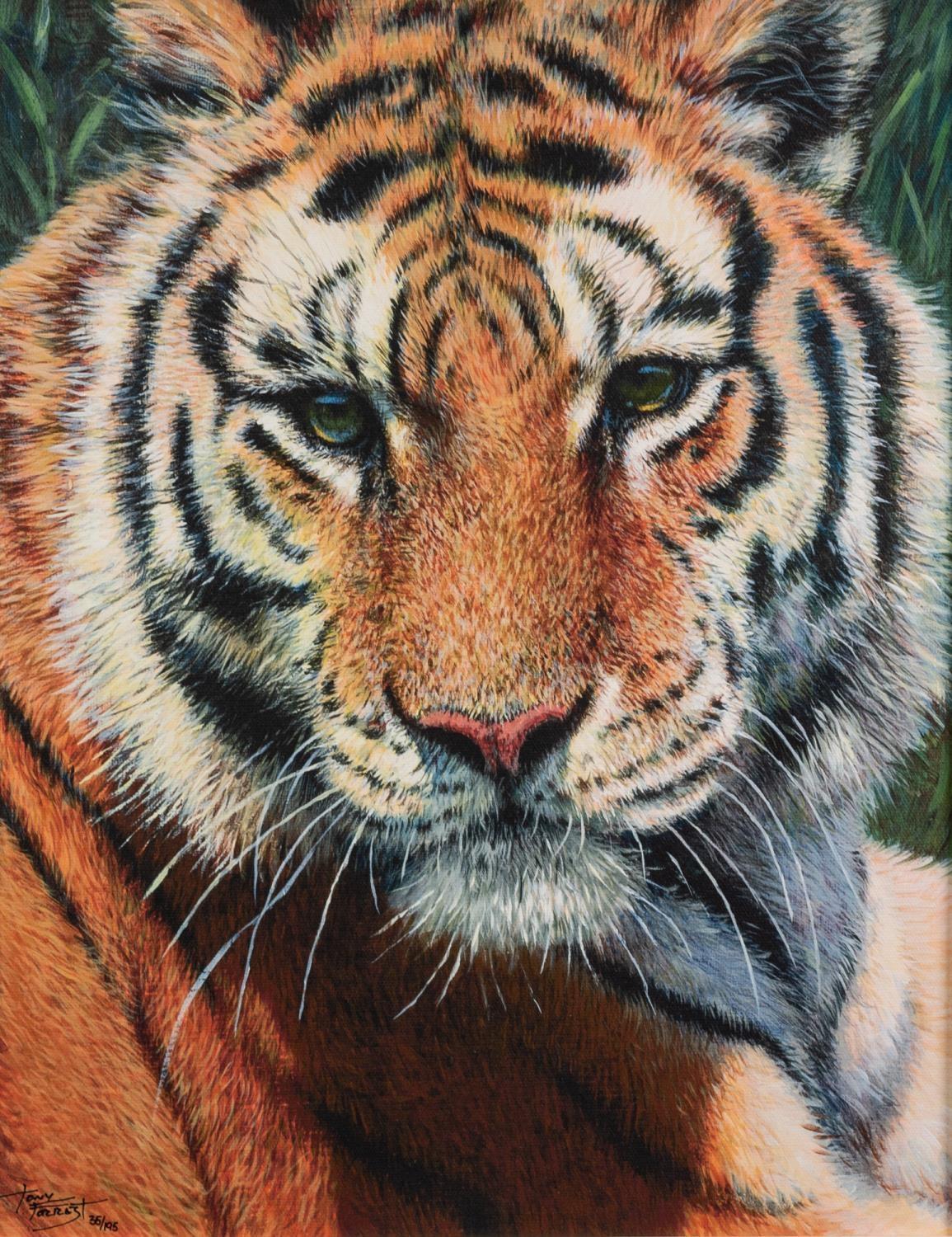 TONY FORREST (b.1961) ARTIST SIGNED LIMITED EDITION COLOUR PRINT?Wild Thing?, (35/195), with