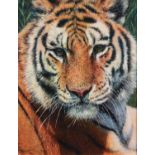 TONY FORREST (b.1961) ARTIST SIGNED LIMITED EDITION COLOUR PRINT?Wild Thing?, (35/195), with