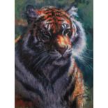 ROLF HARRIS (b.1930) ARTIST SIGNED LIMITED EDITION CANVAS COLOUR PRINT ON CANVAS ?Tiger in the Sun?,