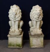 A PAIR OF RECONSTITUTED STONE TRAFALGAR LIONS, ON PLINTH BASES (A.F.) (overall 84cm high)