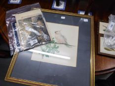 SHEILA GREENHALGH FISHER WATERCOLOUR DRAWING STUDY OF A PINK COCKATOO ON  A BRANCHSIGNED WITH