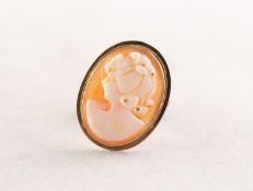 A SMALL OVAL SHELL CAMEO BROOCH/PENDANT carved with the head of a lady, in a 9ct gold frame, 7/8"