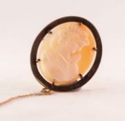 9ct GOLD FRAMED CARVED OVAL SHELL CAMEO BROOCH, depicting a bust of a lady in Elizabethan costume, 1