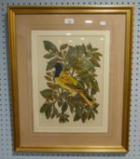 MARY GREGORY ARTIST SIGNED LIMITED EDITION COLOURED ENGRAVING BIRD AND INSECTS ON A LEAFY BOUGH