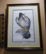 UNATTRIBUTED (TWENTIETH CENTURY) WATERCOLOUR Study of an eagle Indistinctly signed and dated (19)