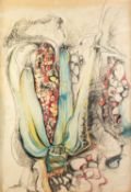 JANE POWELL (20th CENTURY) CHARCOAL, PENCIL, PEN, BLACK INK AND WATERCOLOUR DRAWING 'Sweetcorn'