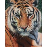 ?TONY FORREST (1961) ARTIST SIGNED LIMITED EDITION COLOUR PRINT ?Wild Thing?, (10/195), with