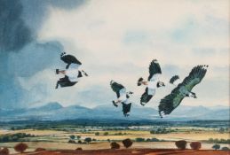 NOEL McREADY (TWENTIETH/ TWENTY FIRST CENTURY) WATERCOLOUR ?Lapwings? Signed and tilted verso 7 ¾? x