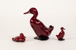 THREE ROYAL DOULTON FLAMBE WARE POTTERY MODELS OF DUCKS, 6 ¼? (15.8cm) high ad smaller, printed