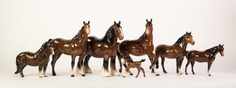 SEVEN BESWICK BROWN GLOSS CHINA MODELS OF HORSES, comprising: SPIRIT OF THE WIND, NEW FOREST