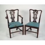 SET OF EIGHT (6 + 2) ANTIQUE GEORGE III REVIVAL DINING CHAIRS, with pierced splat backs and drop-