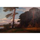 N. HELLGREWE (Early 20th Century) OIL ON CANVAS Woodland landscape Signed lower right 31 x 47in (