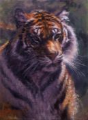 ROLF HARRIS (b.1930) ARTIST SIGNED LIMITED EDITION COLOUR PRINT ON CANVAS?Tiger in the Sun?, 16? x