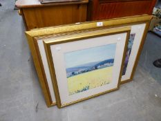 TWO LARGE COLOUR PRINTS, RESIDENCES WITH SUMMER GARDENS, GILT FRAMED AND ANOTHER PRINT (3)