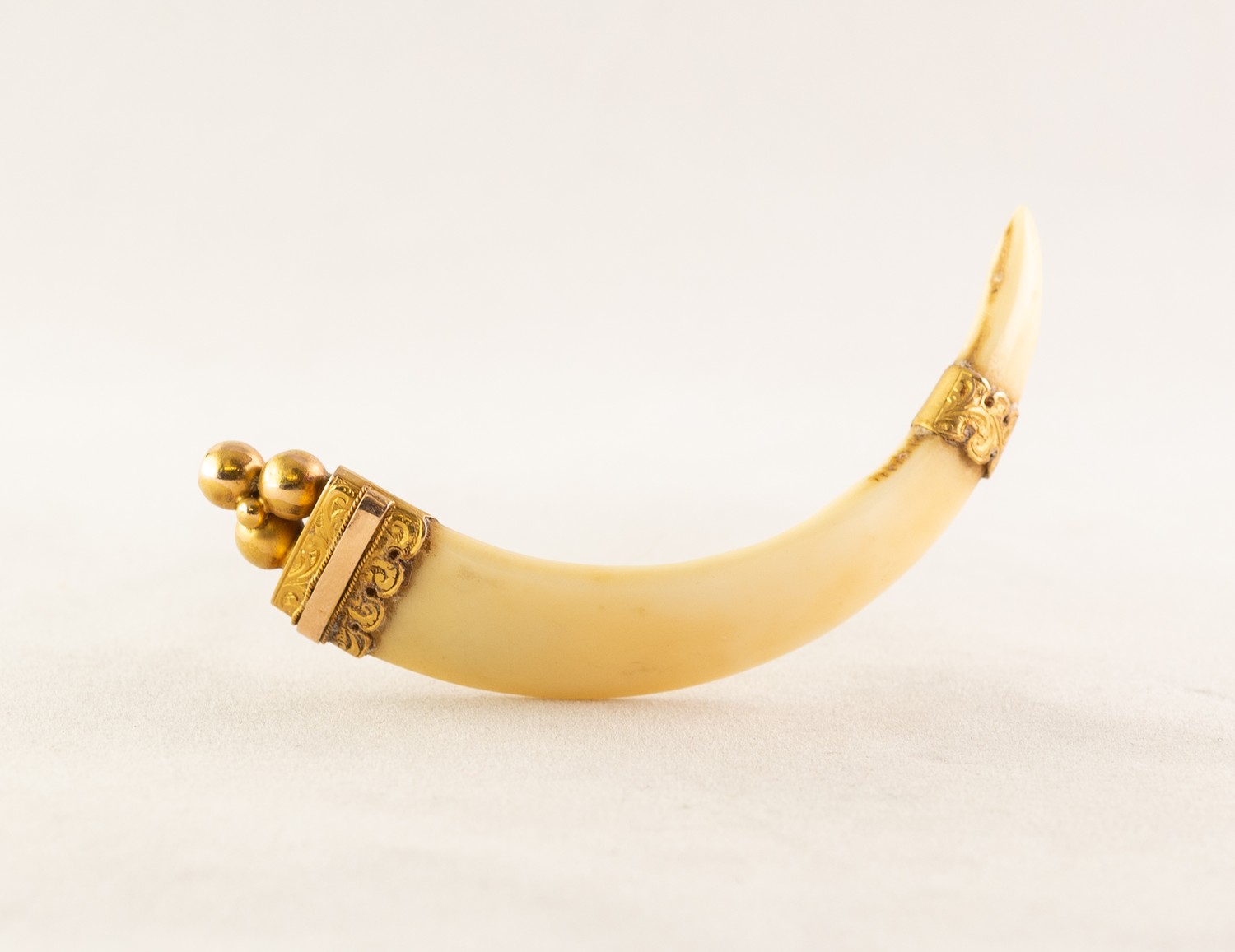 VICTORIAN 15ct GOLD MOUNTED WALRUS IVORY TUSK SHAPED BROOCH, scroll engraved, with triple ball