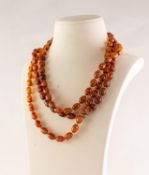 TRANSLUCENT AMBER NECKLACE, formed of 109 small well-matched beads, 42.8 gms gross