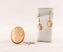 9ct GOLD SET SHELL CAMEO BROOCH and a pair of associated CAMEO SET 9ct GOLD EARRINGS, gross weight