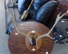 A MOUNTED PAIR OF ANTLERS AND A COPPER BED WARMING PAN WITH LONG HANDLE (2)